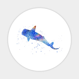 Blue Whale shark, Blue Whale Magnet